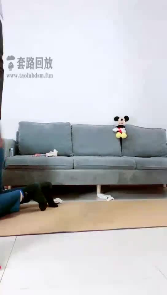 真人版红绿灯