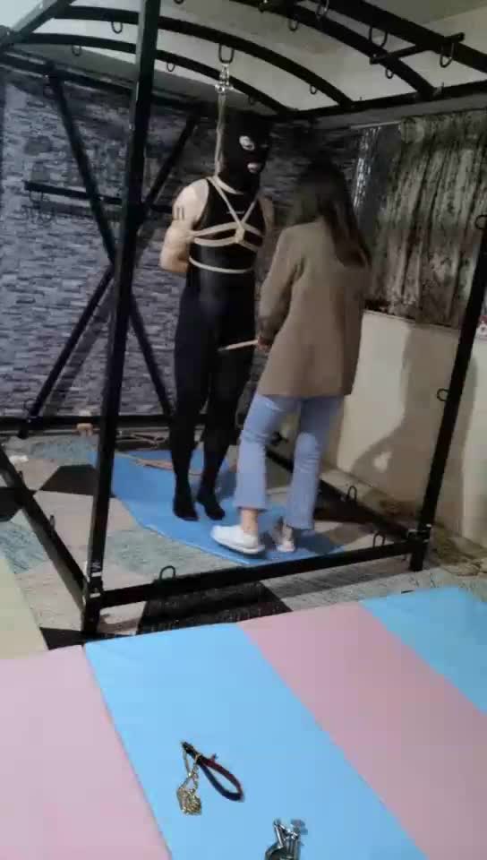 直播圈养狗