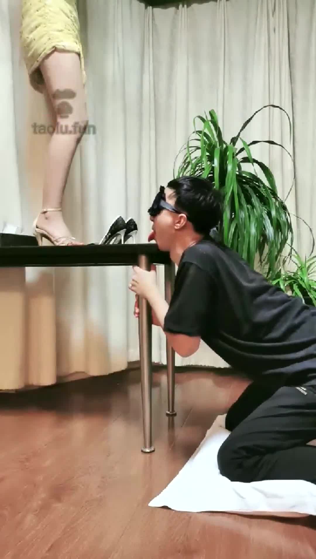  调脚奴