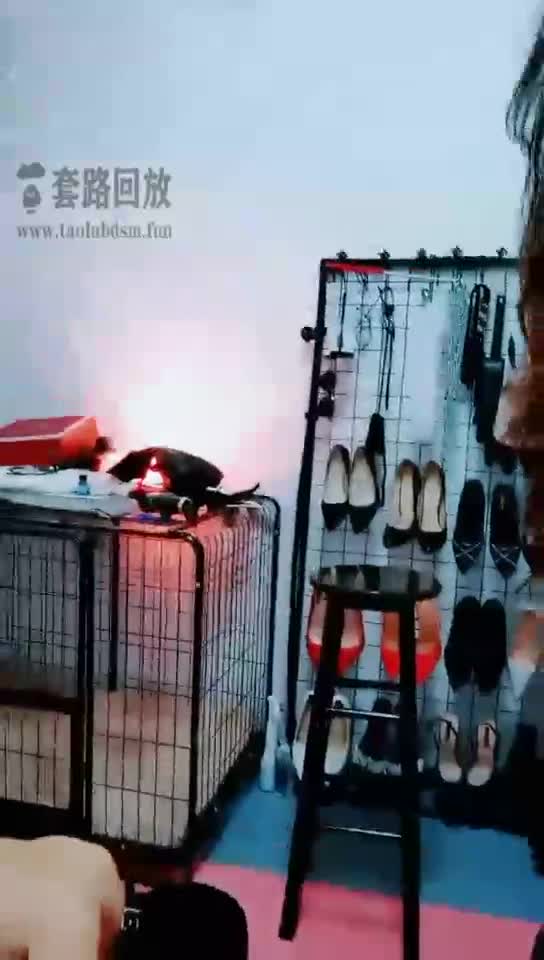 ol职业装调教