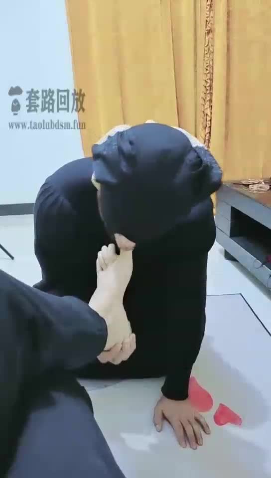 夫妻玩穿裙子的狗