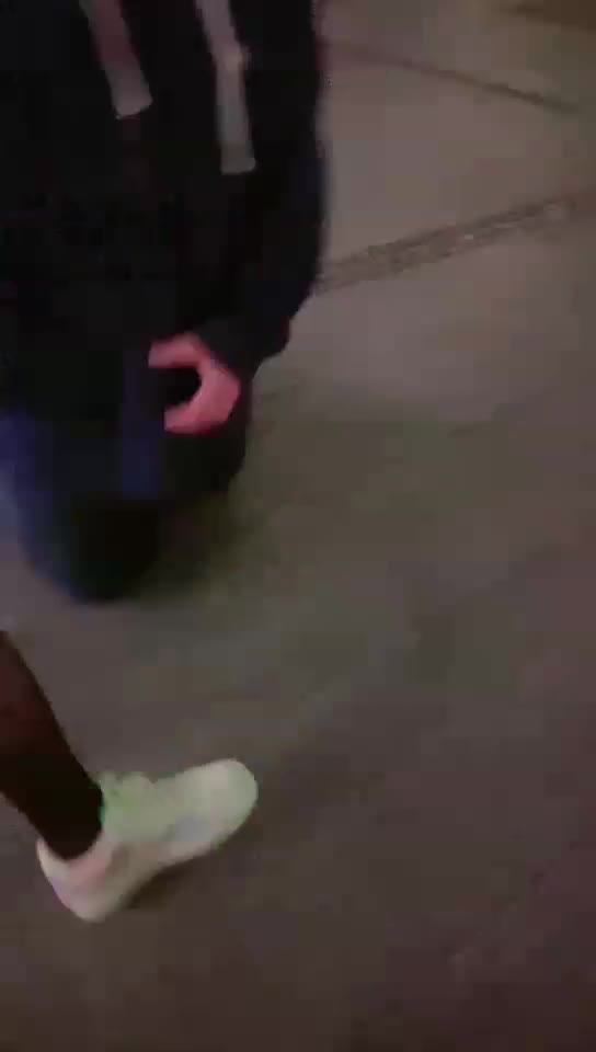 户外玩狗
