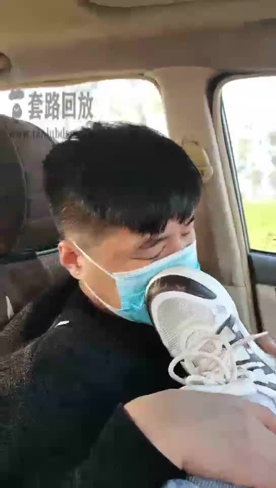 车内训狗