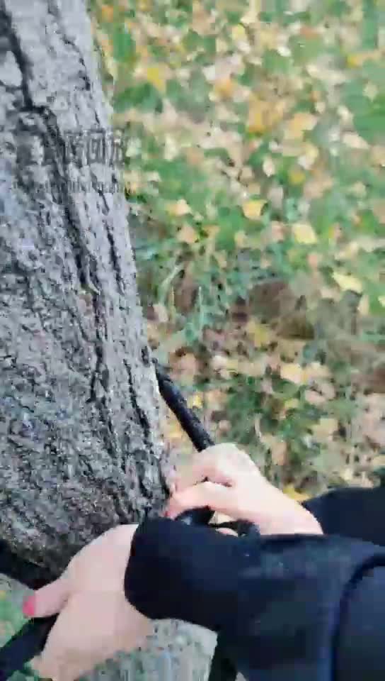 好天气遛狗偶遇 羞辱虐待强迫
