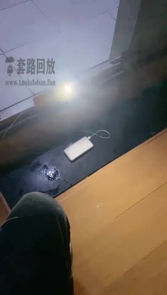 开发技师