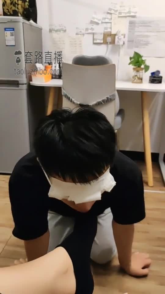 下班玩狗