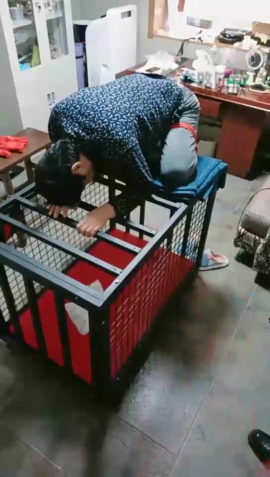 调教私奴 狗笼子上的惩罚