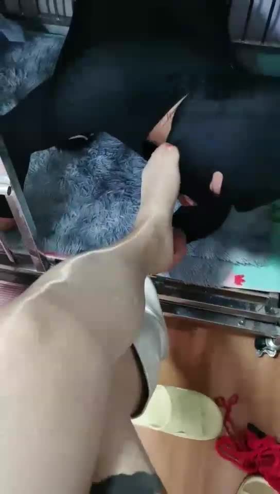 圈养奴第三天 抽大嘴巴子
