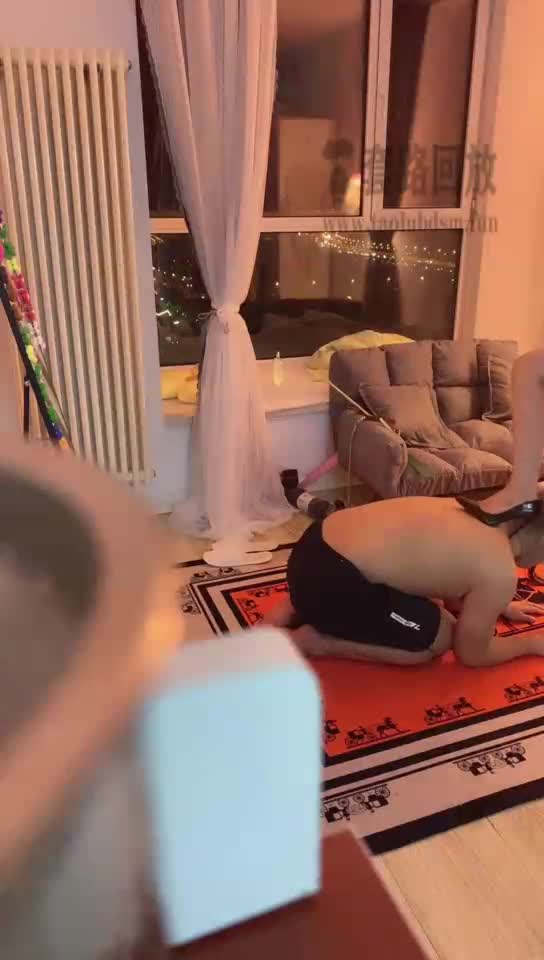 鞭打踢狗头