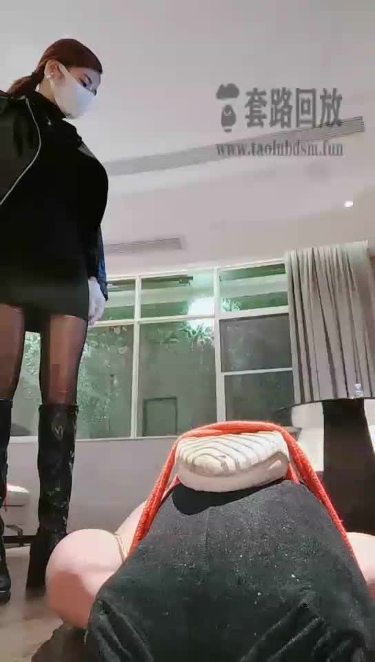 除臭清理的机器狗