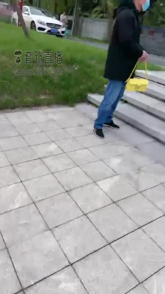 户外路边调教两只狗