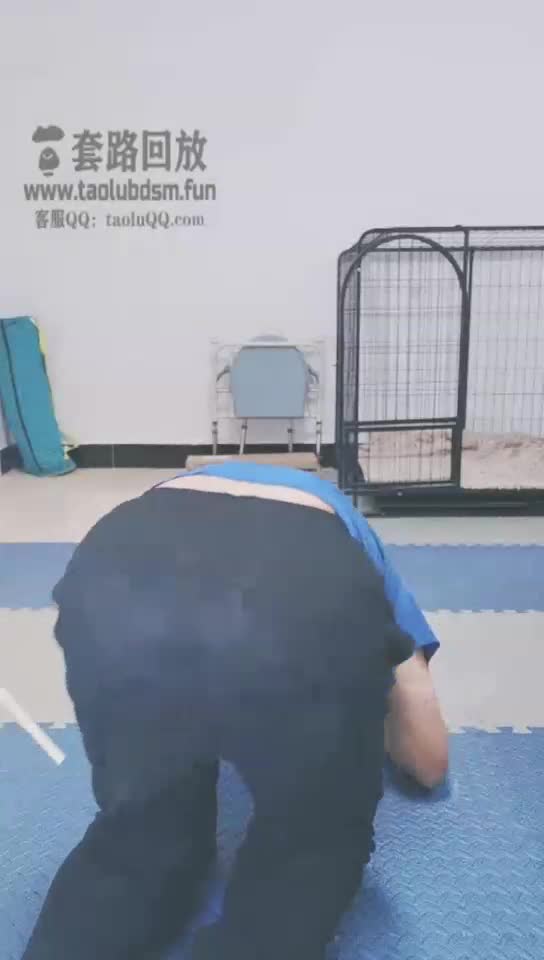 拉出笼子里一只贱狗调教玩