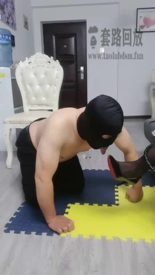 调教贱狗 爬进来