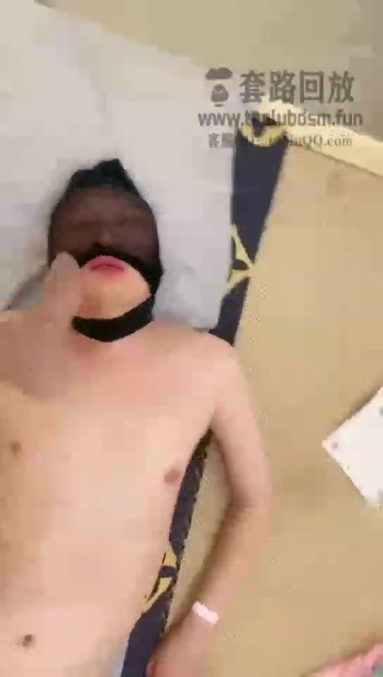 足疗 技师与狗