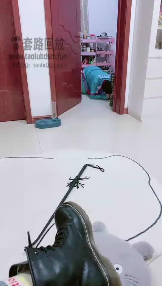 一个素人和双主