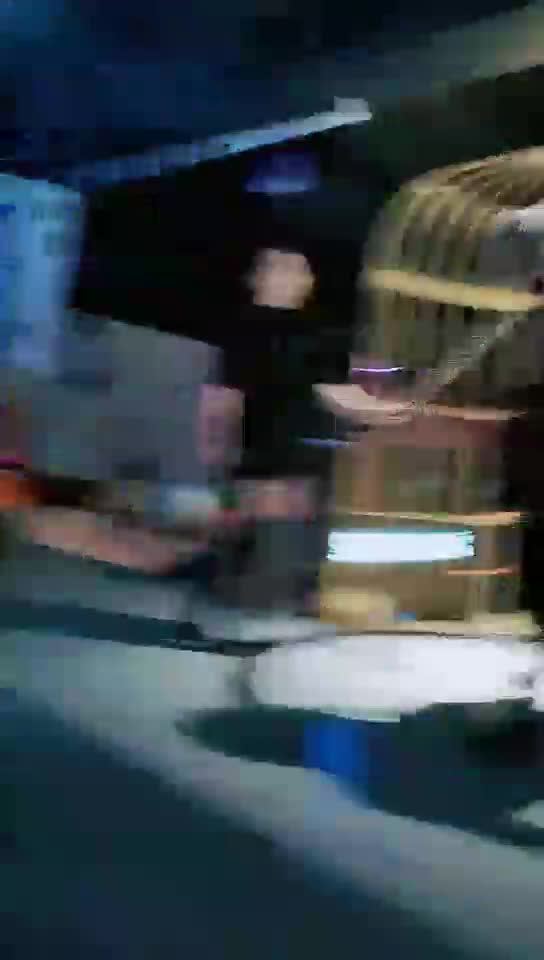 酒吧双主调狗