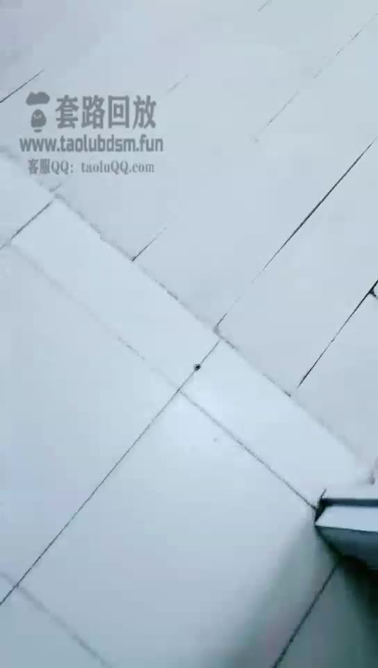 坐脸圣水调教