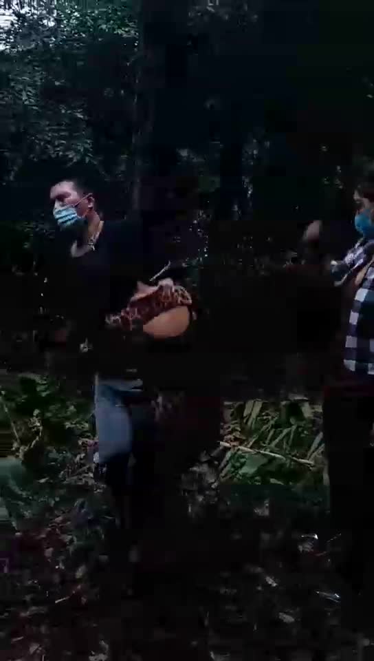 双女王捆绑鞭打 耳光 舔脚 钻胯 遛狗