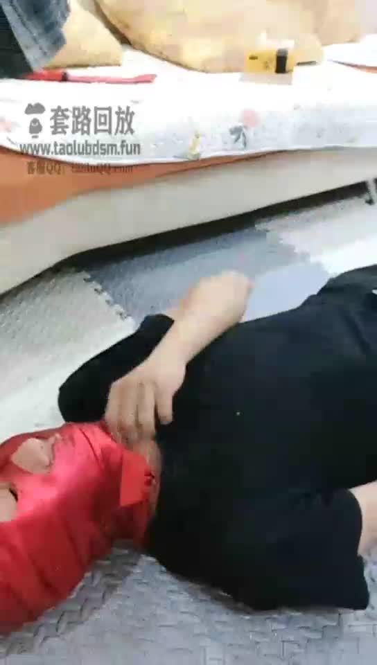 双主调狗