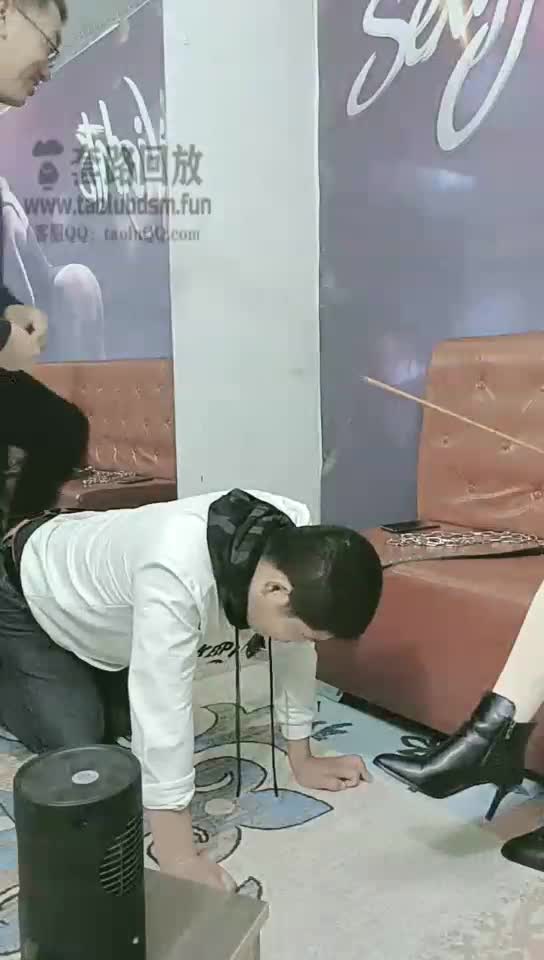 开心随便调狗