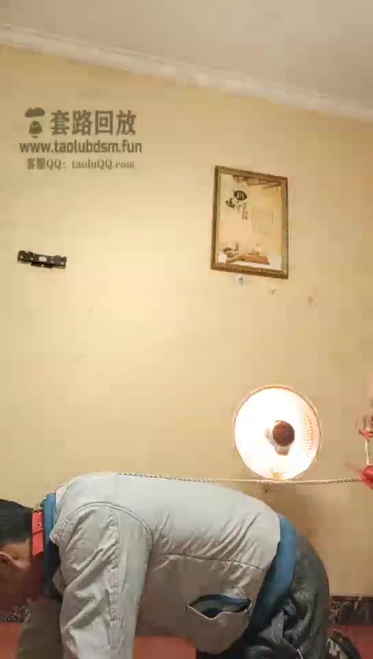 调狗
