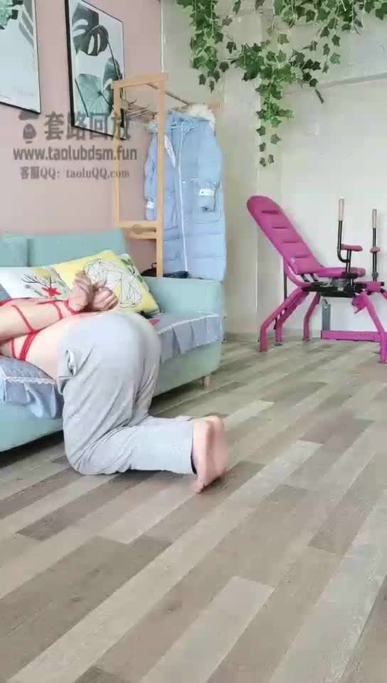 跑骚狗的第二春之SP