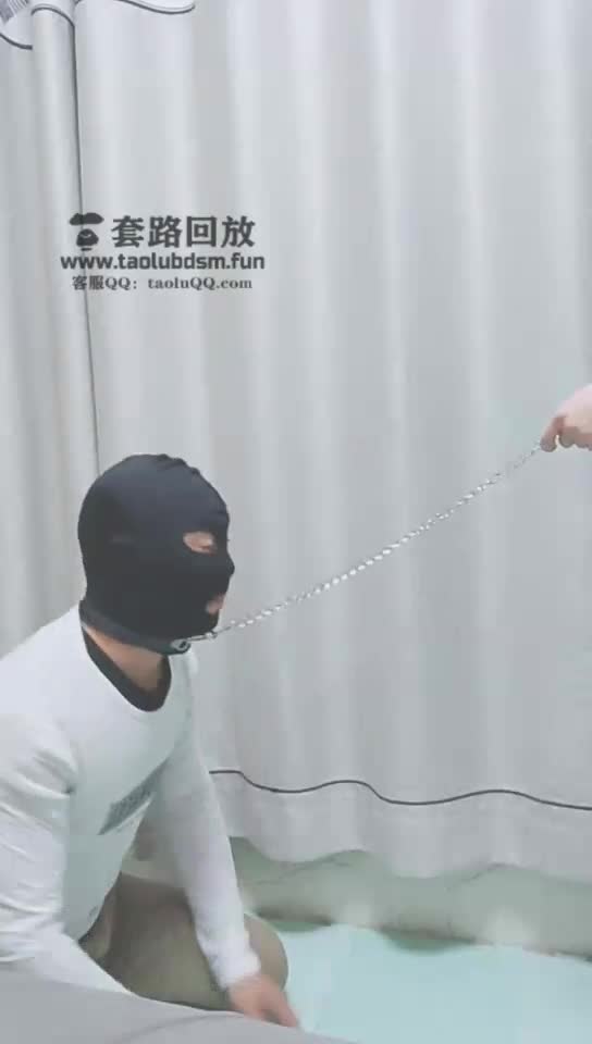 踢废贱狗 强迫深喉