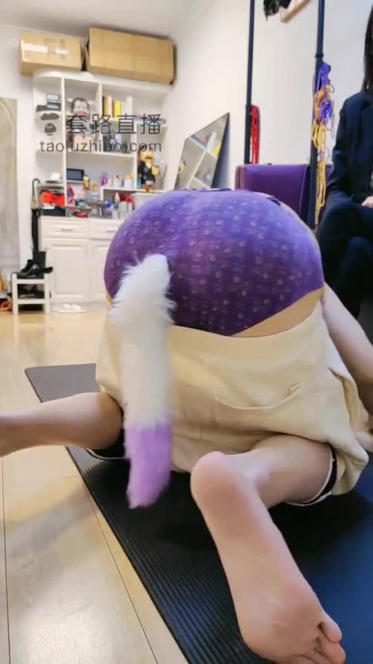 K9训练