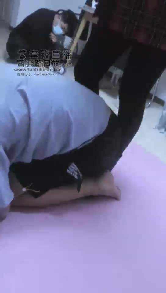 双主调狗