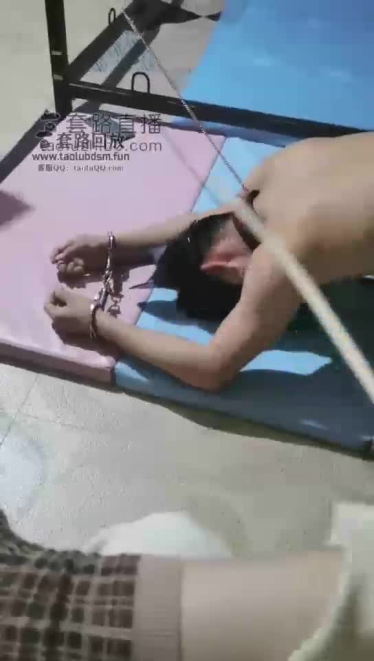 两个圈养狗子
