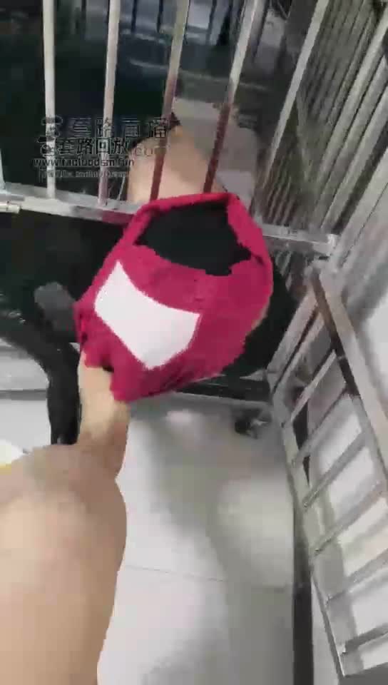 圈养奴第六天 喂食 圣水拌面 口水牛奶
