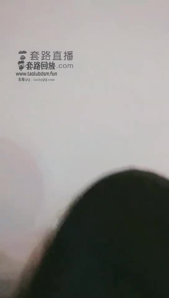 双S调狗