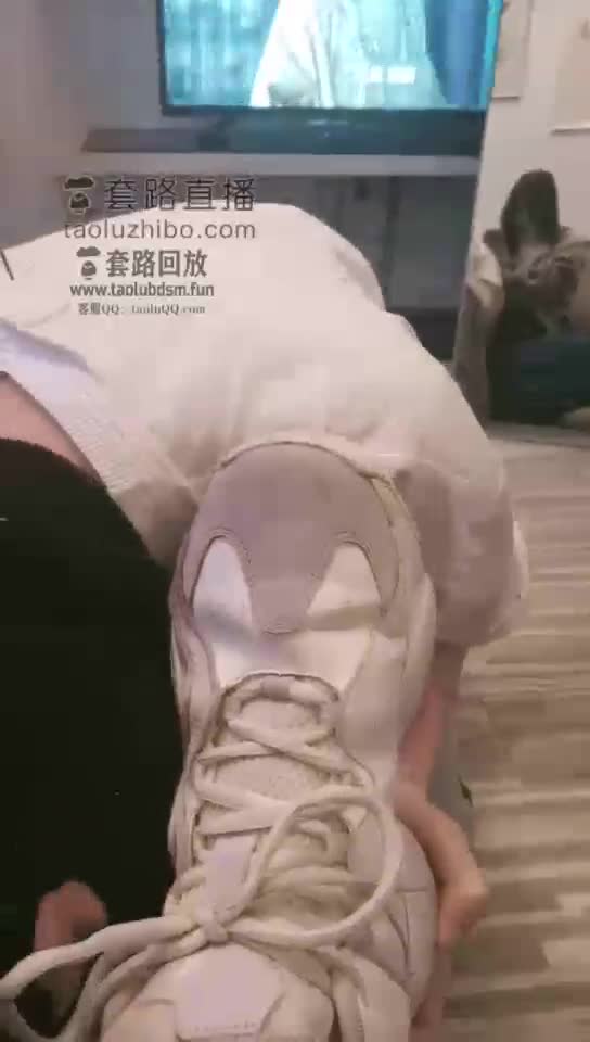 调教贱狗 踢打 脚耳光 侮辱