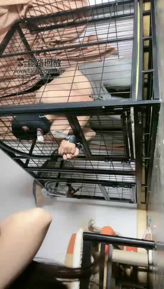 狗笼强制圣水 穿刺 滴蜡 红绿灯