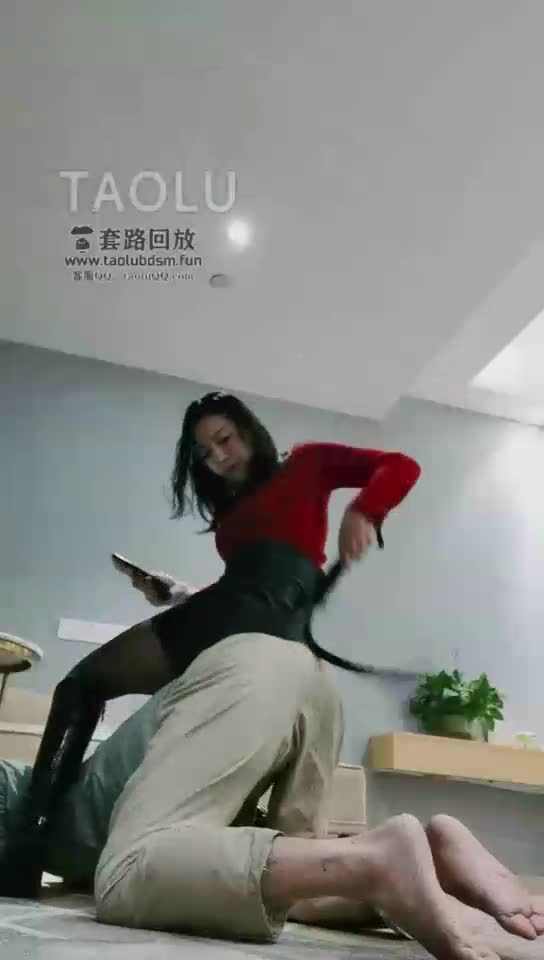 回来就惹我生气的狗