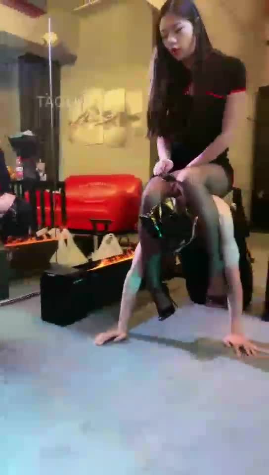 爬进来看喝洗脚水的狗子
