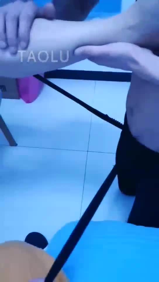双S虐家奴