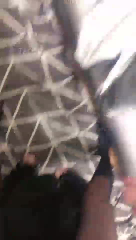 羞辱绿王八狗