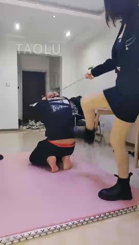 双S调教大笨狗