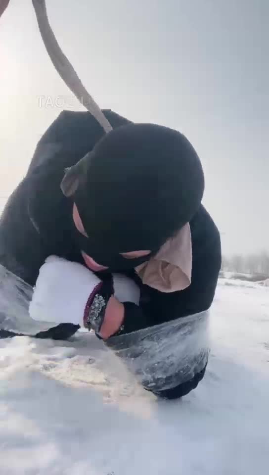 雪地的一场遛狗之旅