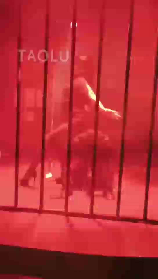 多主 SM主题酒吧调狗