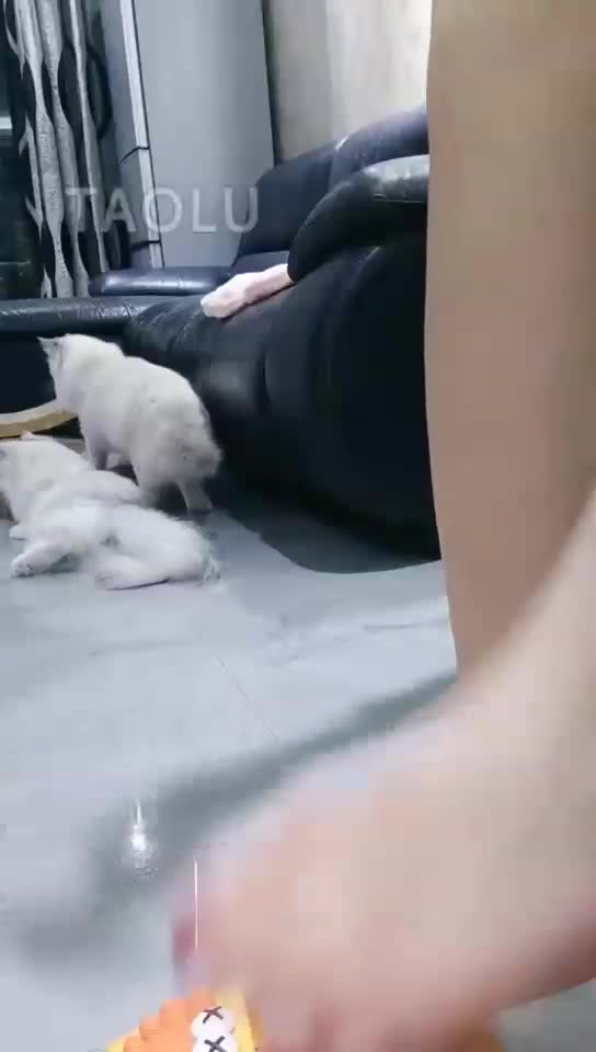 奴伺候洗脚