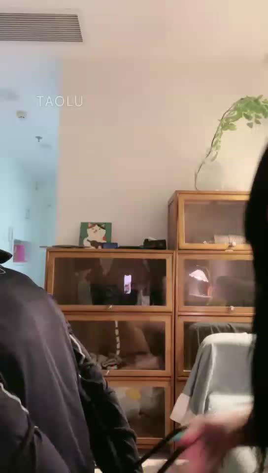 暴力踢废狗兰子