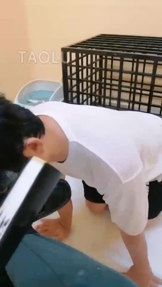 屁般痒了找罚