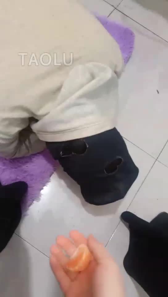 给吃完屎的狗冲澡