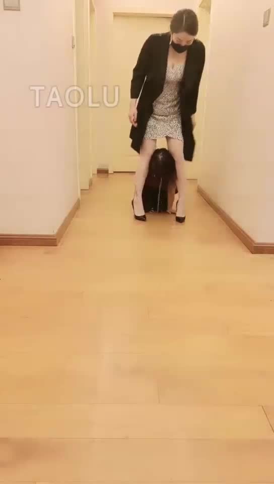 捕获一只小母狗