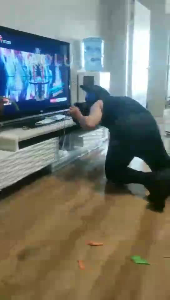 像狗一样的爬过来