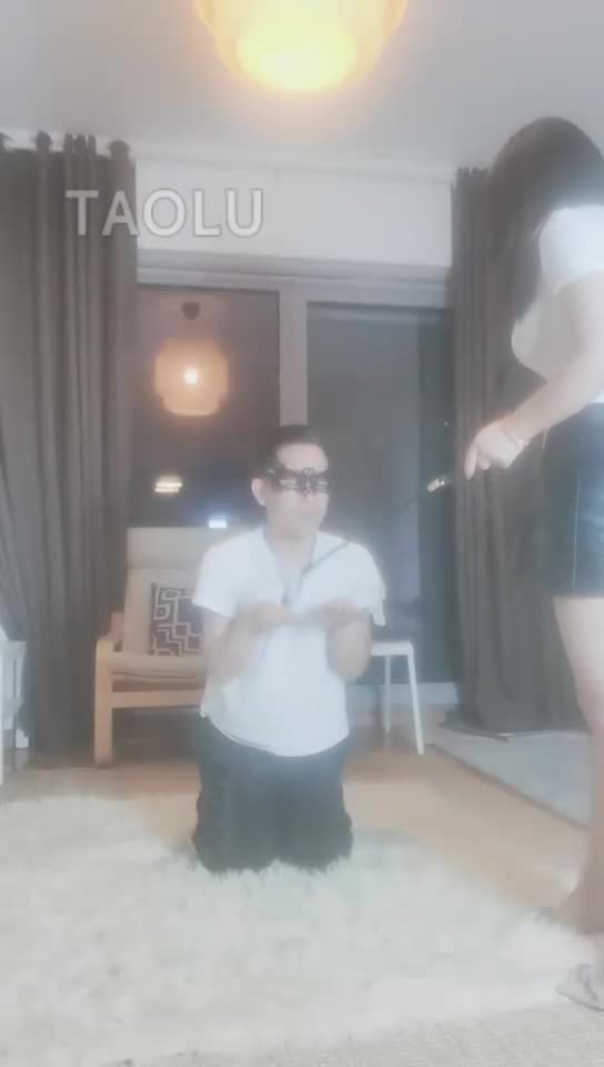 日常训狗贱狗