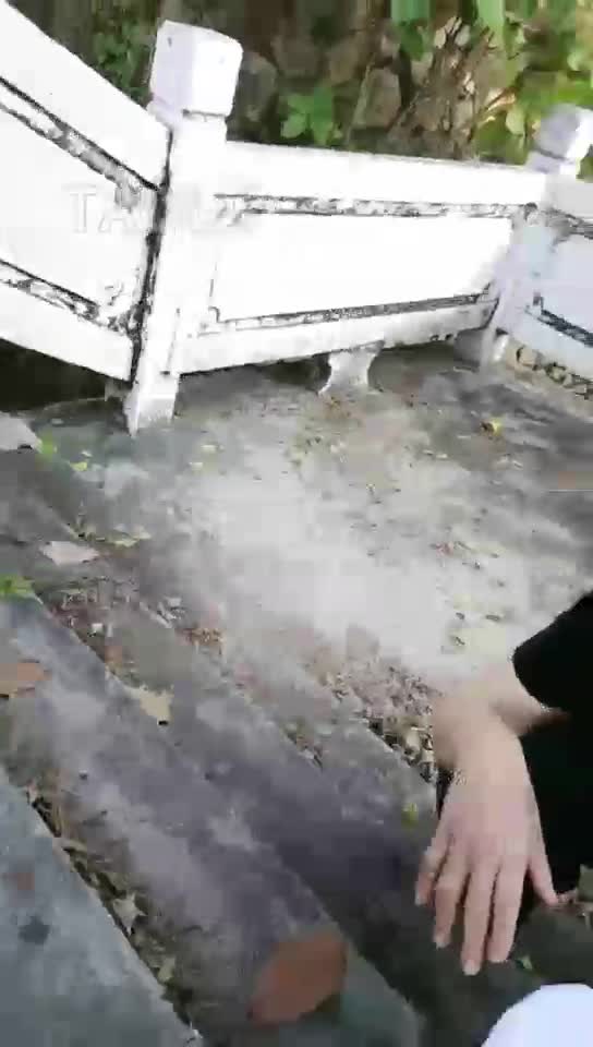 户外 戏弄开发视频粉丝