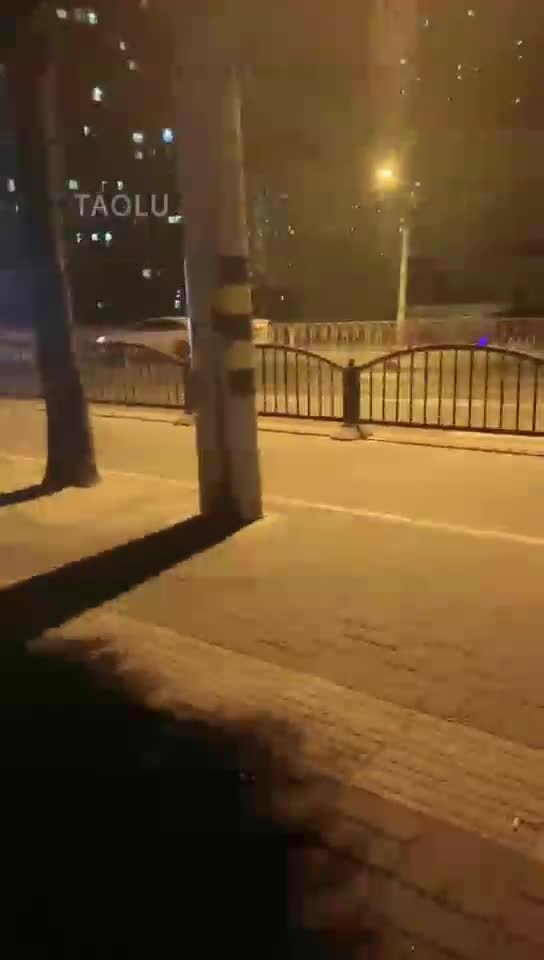 一场说走就走的遛狗